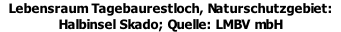 Lebensraum Tagebaurestloch, Naturschutzgebiet: Halbinsel Skado; Quelle: LMBV mbH