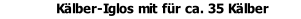 Kälber-Iglos mit für ca. 35 Kälber