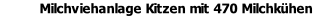 Milchviehanlage Kitzen mit 470 Milchkühen