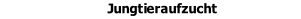 Jungtieraufzucht
